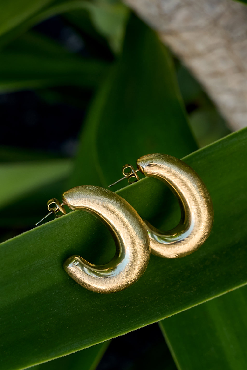 Creolen Kreis Casual Daily Simple Series Damenschmuck