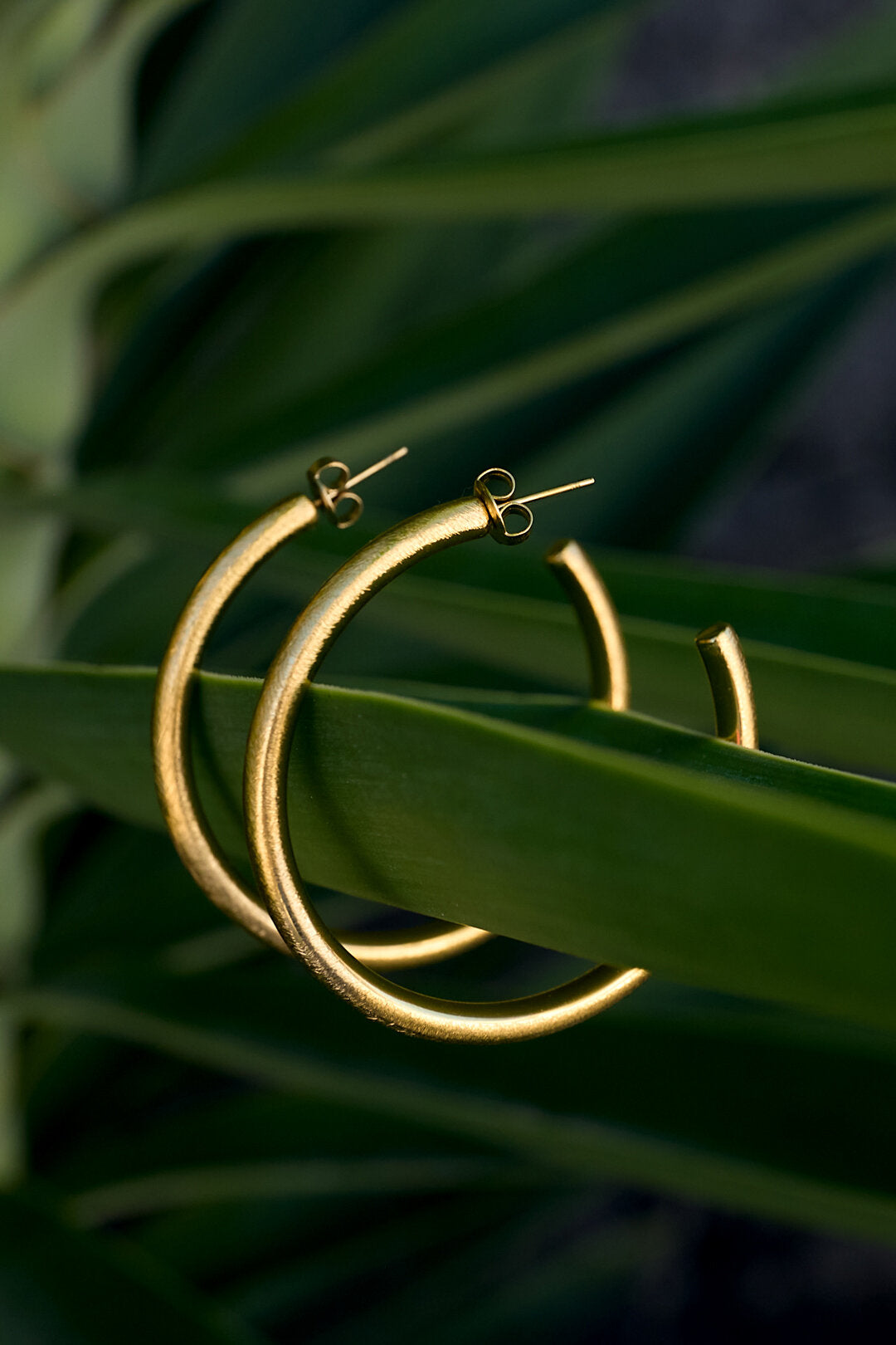 Creolen Kreis Casual Daily Simple Series Damenschmuck